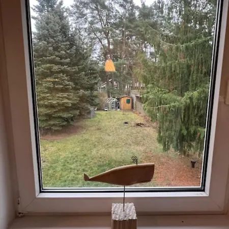 Am